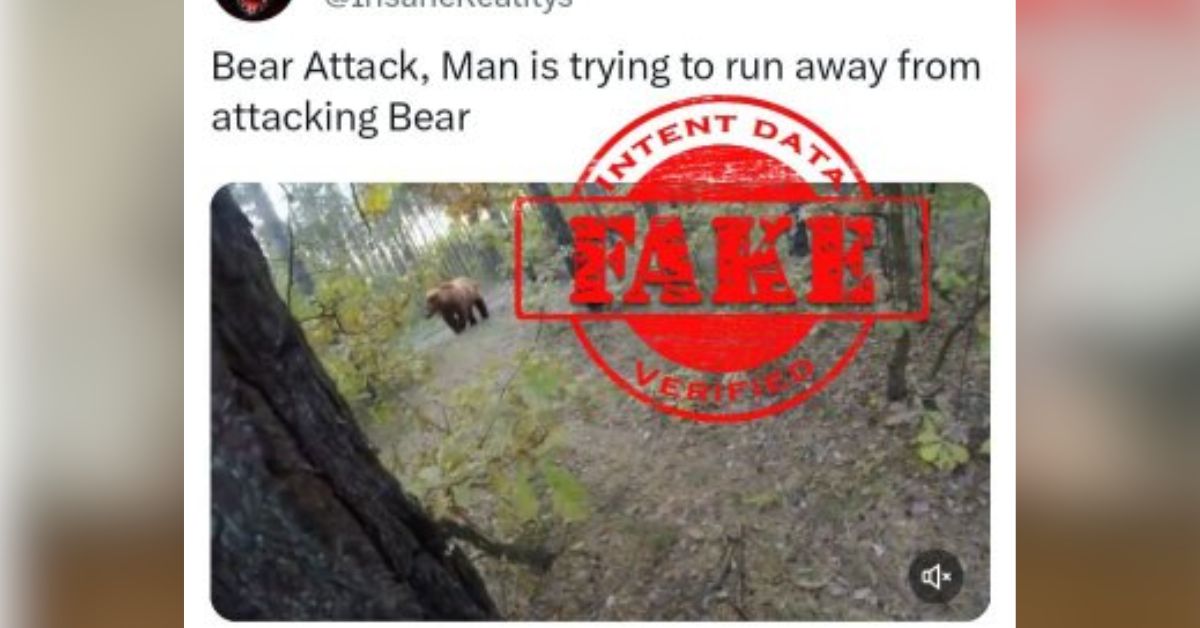 Beware of Digital Deception: Unmasking the Bear Attack Cyclist Video Hoax