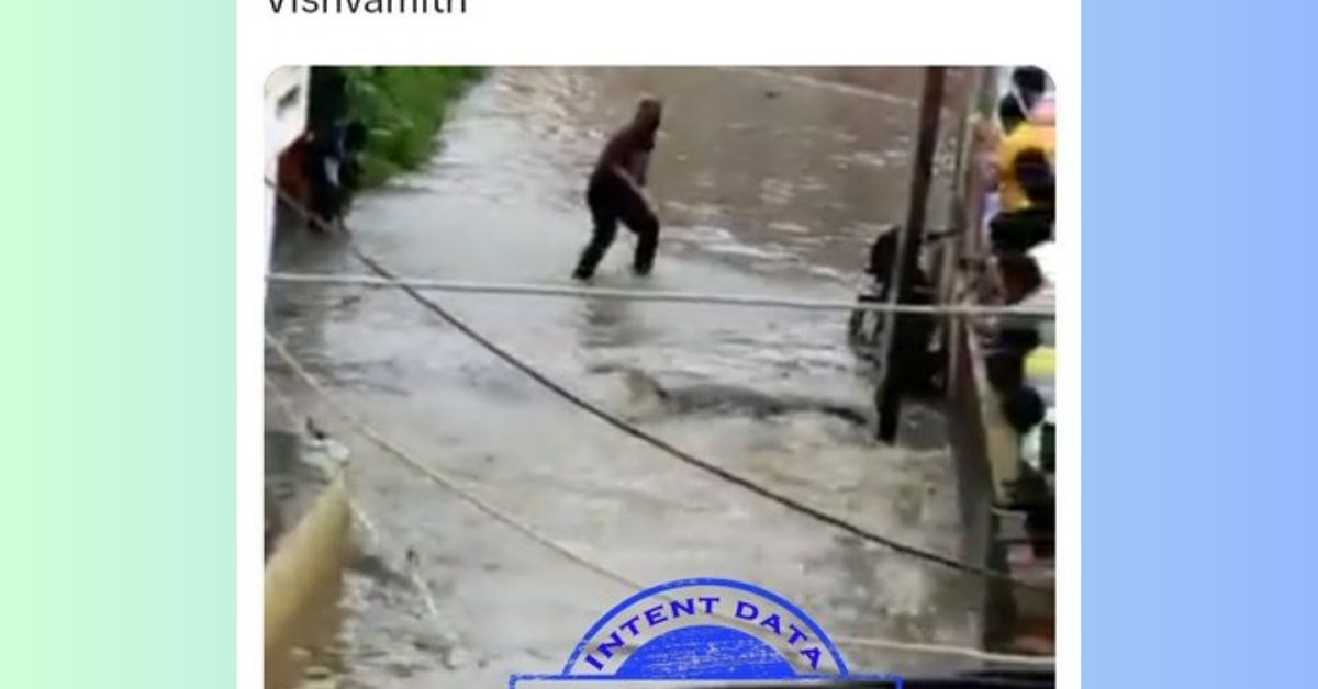 Crocodile in Delhi in waterlogged residential area: Video isn’t from the #DelhiFlood